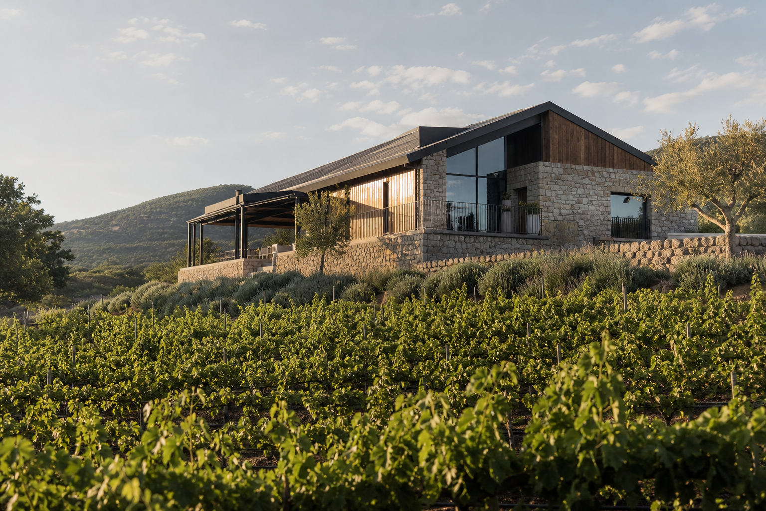 Boutique winery estate among vines